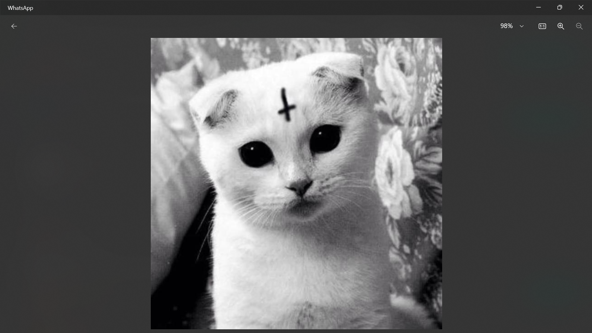 hack aayi makkaleeeeee